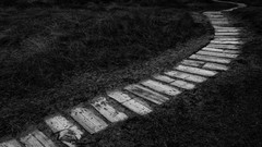 Paths grayscale