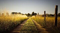 pathway landscape field dirt road Plants grass