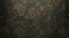 Pattern camouflage cammoflage cammo