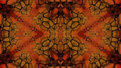 Patterns abstract kaleidoscope psychedelic colors backgrounds 