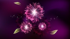 Patterns abstract multicolor