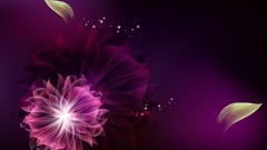 Patterns abstract multicolor