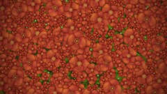 Patterns abstract Templates multicolor minimalistic