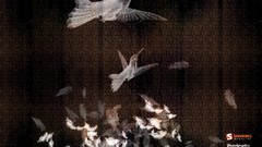 Patterns Birds feathers flying dark background artwork Smashing 