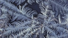 Patterns frost