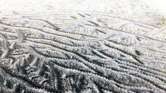 Patterns frost