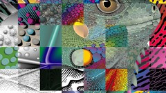 Patterns iguana multicolor artwork vectors