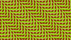 Patterns illusions optical illusions