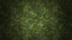 Patterns military camouflage