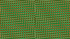 Patterns optical illusions
