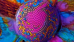 Patterns paint abstract liquid multicolor ferrofluid paintwork
