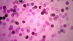 Patterns pink abstract circles