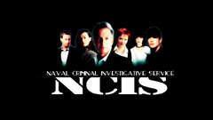 Pauley perrette NCIS Celebrity