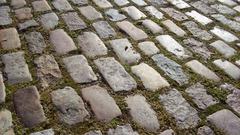 Pavement moss Bricks