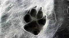 Paw Fractalius