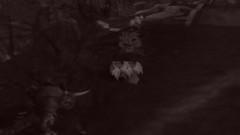 PC aion mmorpg online games video games