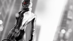 PC Catwoman batman arkham city arkham city dc comics video games