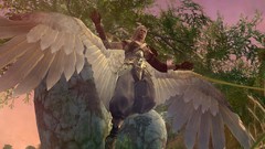 PC Ed aion mmorpg online games video games