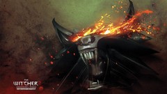 Pc games the witcher the witcher 2 assassins of kings concept 