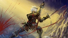 PC pc games the witcher the witcher 2 assassins of kings 