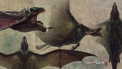 PC pc games the witcher the witcher 2 assassins of kings 