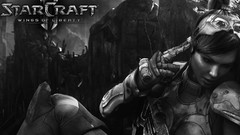 PC starcraft blizzard entertainment video games
