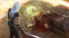 PC Swords pc games RPG the witcher the witcher 2 assassins of 