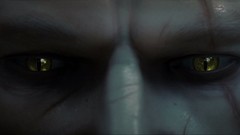 PC the witcher the witcher 2 assassins of kings artwork video 