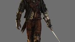 PC the witcher the witcher 2 assassins of kings artwork video 