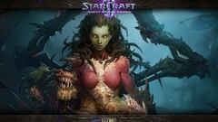 PC Zerg starcraft artwork video games starcraft ii Sarah 