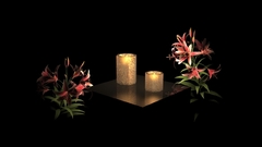 Peaceful Candles Flowers love
