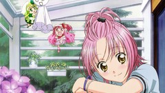 Peach pink hair yellow eyes hinamori amu Shugo Chara!