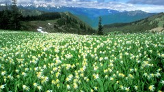 Peak Washington national park complex magazine