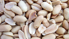 Peanut peanuts