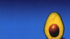 Pearl jam avocado Album