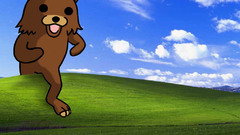 Pedobear hills windows xp