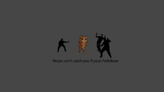 Pedobear ninjas cant catch