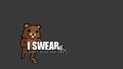 Pedobear Shoes Bears Simple