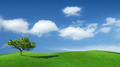 Peisajyou mean This high