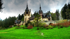 Peles castle Landscapes Castles