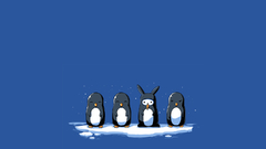 Penguins