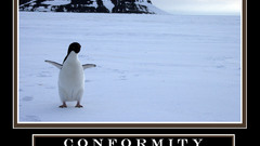 Penguins motivational posters