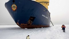 Penguins North Pole icebreaker ships