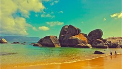 Penguins rocks Beaches