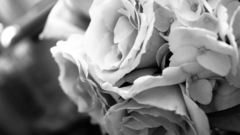 People couple Other think too