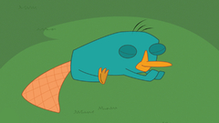 Perry the Platypus Phineas