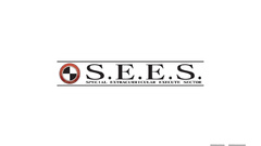 Persona series Anime