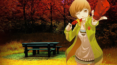 Persona series persona 4