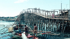 Philippines World bamboo and