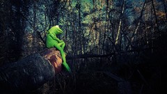 Philosophy kermit the frog
